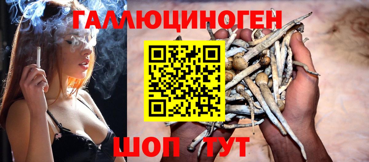 Галлюциногенные грибы мицелий Донецк