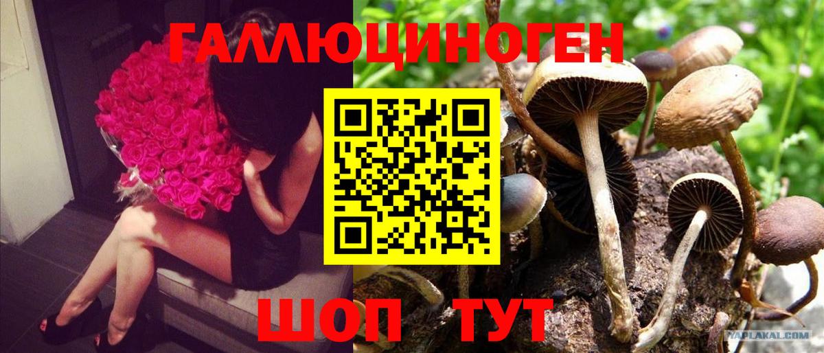 Донецк  Псилоцибиновые грибы ЛСД  Вход с VPN 